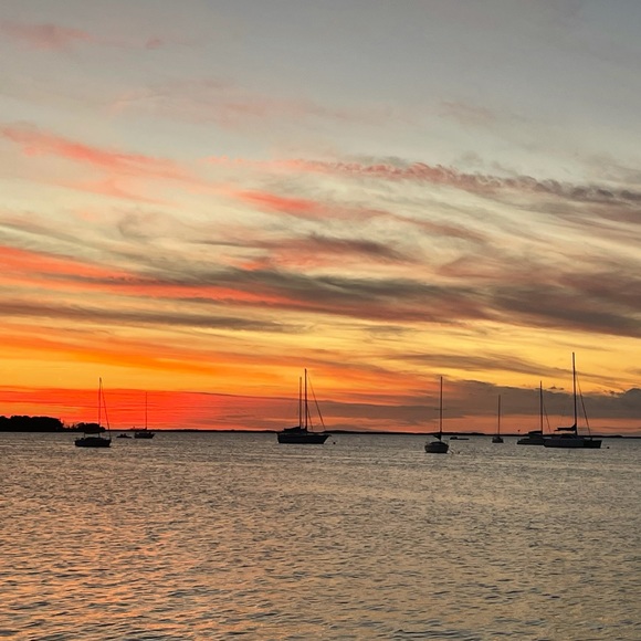 Meet your Posher, Annette Beau - Picture 16 of 16